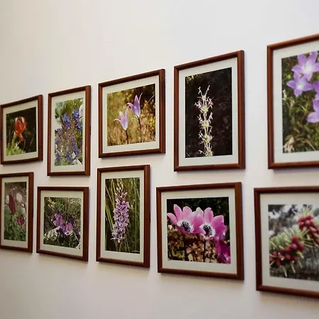 Anixis Casa de hóspedes