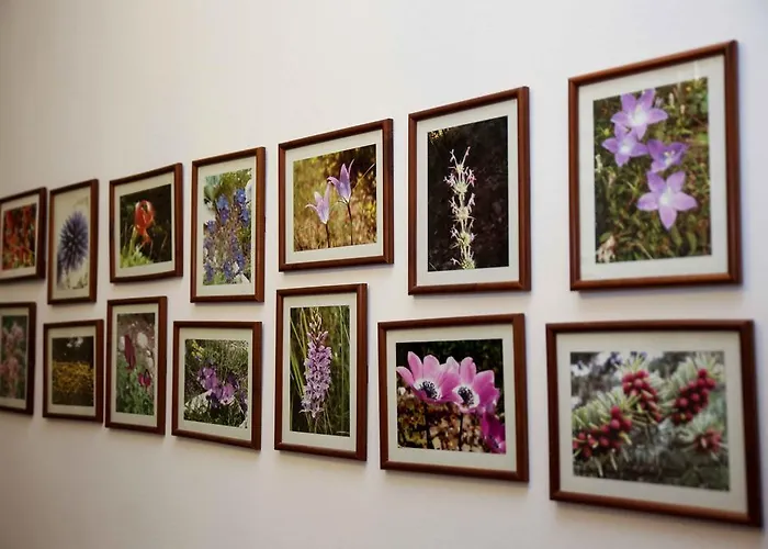 άνοιξις Πανσιόν